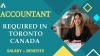 Accountant