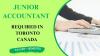 Junior Accountant