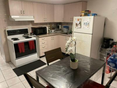 Basement Apartment - 1 Bedroom $1,295