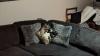 Sectional couch