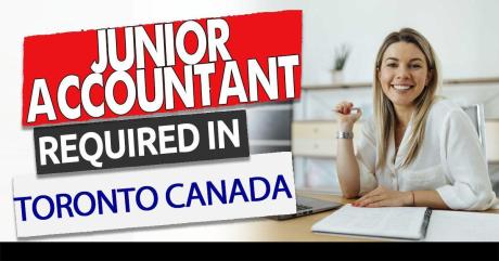 Junior Accountant