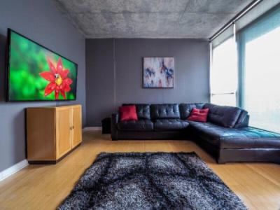 Gorgeous Furnished One Bedroom Condo - Downtown Location $1,950.00