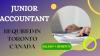 Junior Accountant