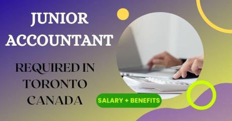 Junior Accountant