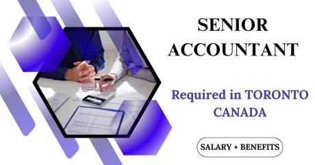 Senior Accountant