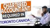 Chartered Accountant