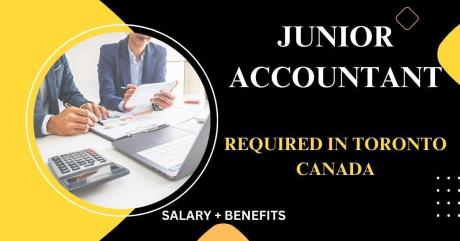 Junior Accountant